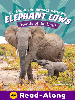 cover image of Elephant Cows